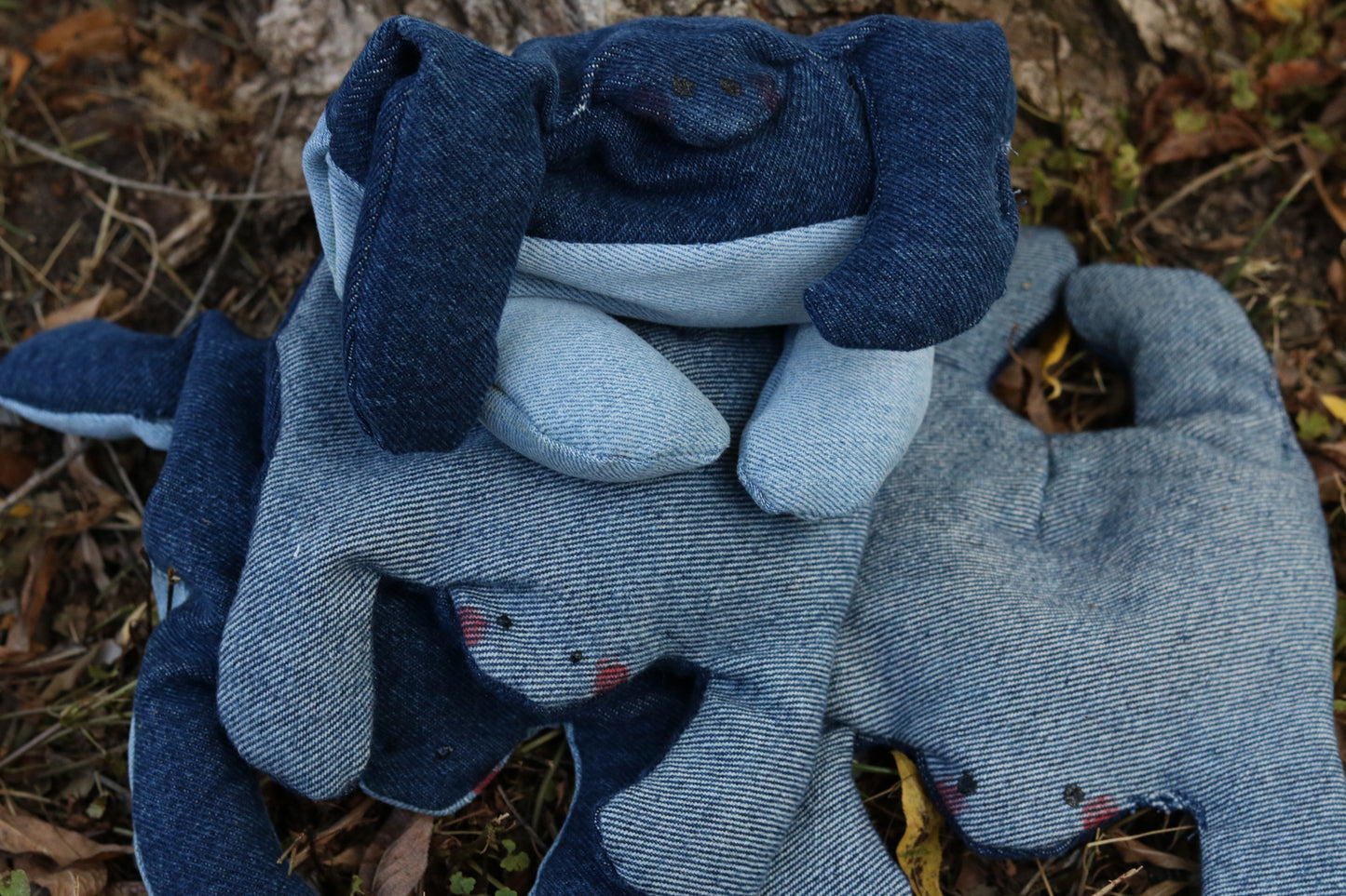 Denim Frogs